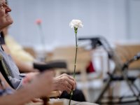 Majowe atrakcje dla weteranów
