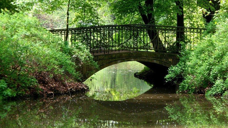 Niezwykły Park Skaryszewski, 2010-2011